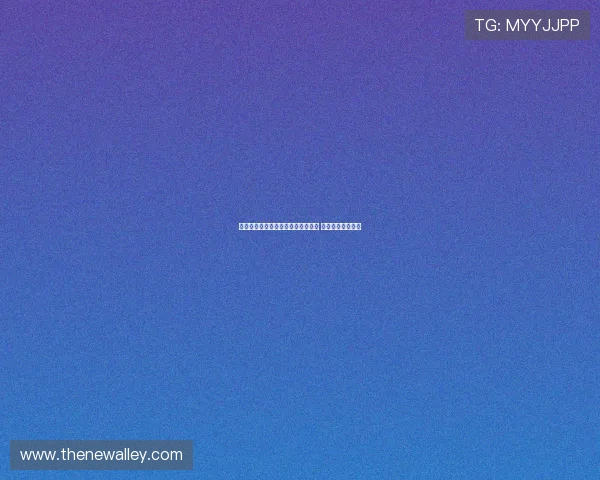 热刺西汉姆关注莱斯特城中场哈努斯 利兹联已询价求购